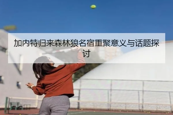 加内特归来森林狼名宿重聚意义与话题探讨